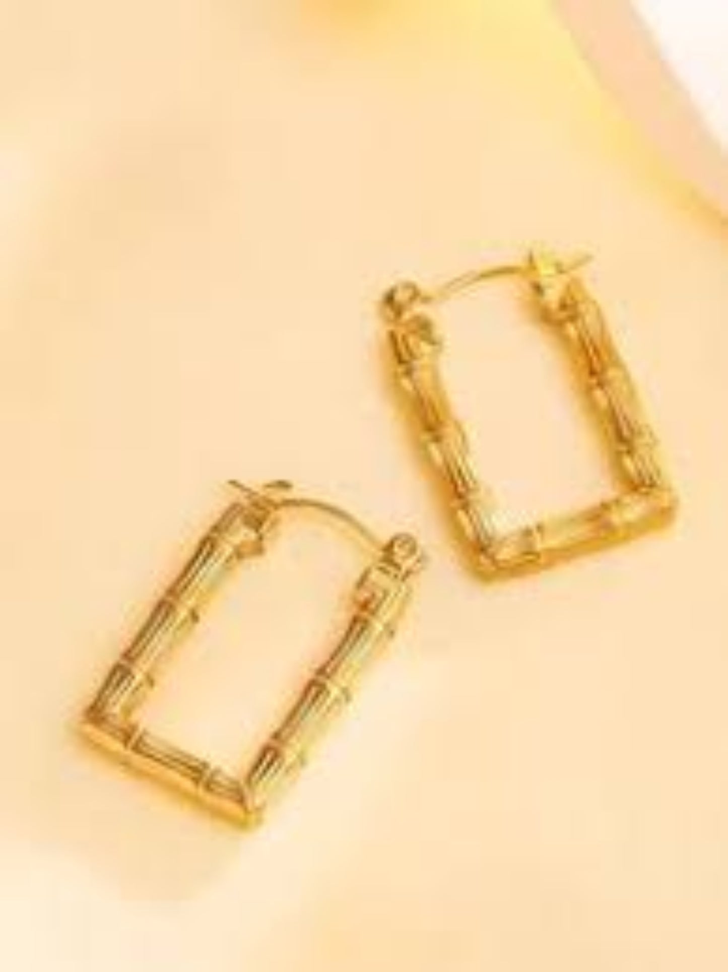 stainless Steel Gemeotric Hoops